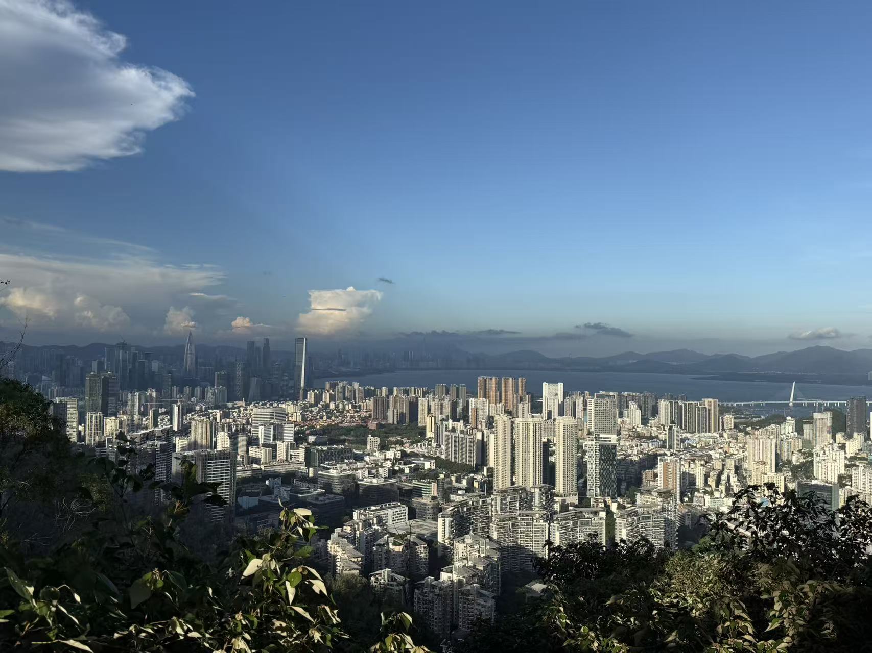 直击深圳楼市新政首日：罗湖盘降价百万抢客，买家早上6点约看房，从业者称利率仍有下调空间